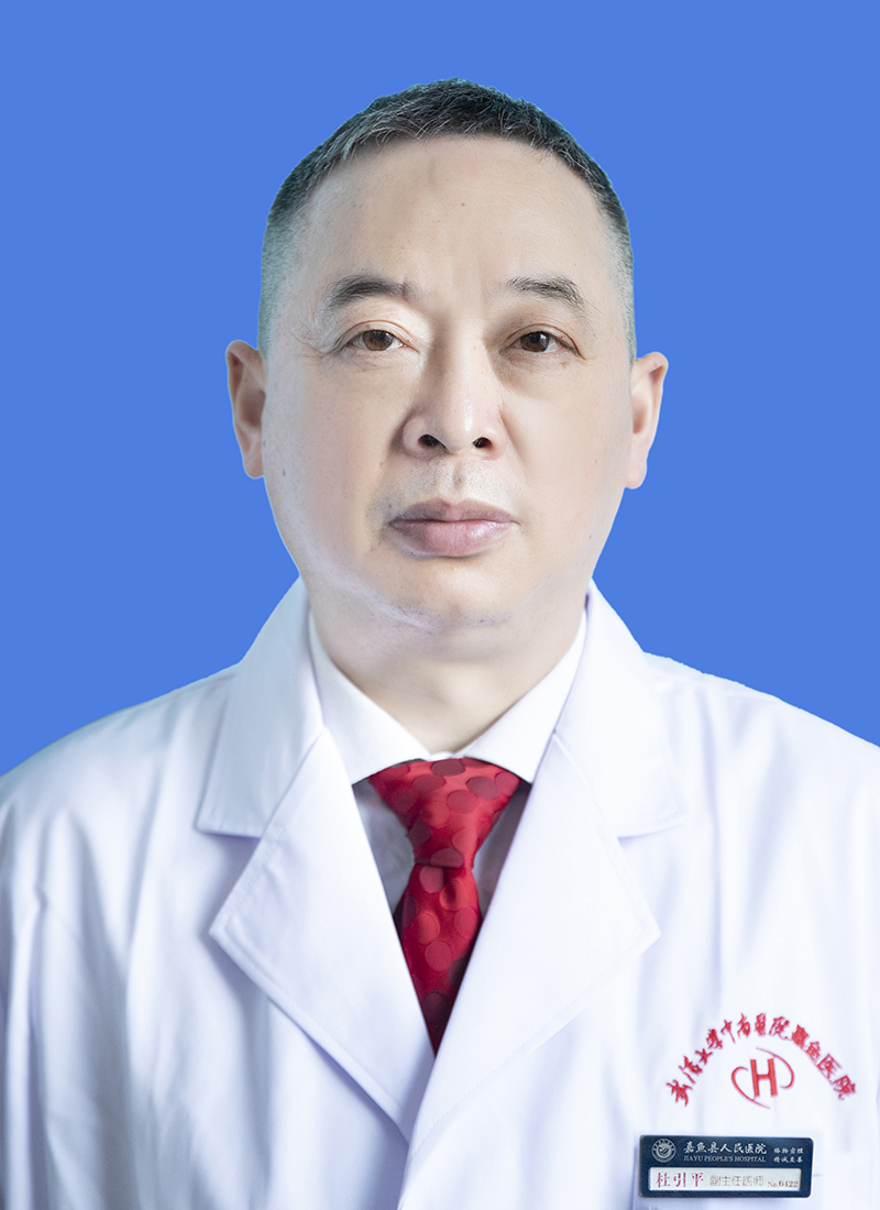 杜引平