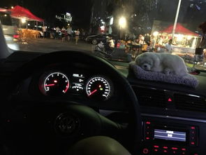 汽車地板油多少轉 汽車地板油多少轉