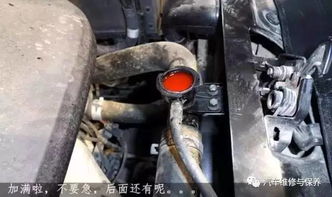 汽車水箱是多少l