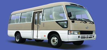 中巴汽車(chē)電池多少伏