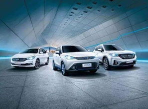 增城汽車冬天續(xù)航多少