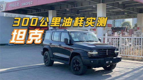 坦克300汽車耗油多少