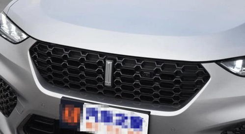 汽車油門最高多少邁 汽車油門最高多少邁