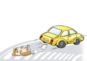 汽車(chē)撞死狗賠償多少