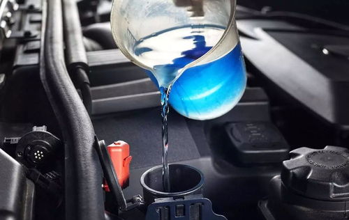 汽車(chē)全車(chē)水壺多少升水