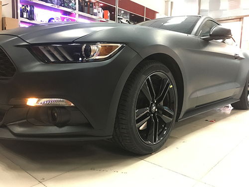 野馬汽車總質(zhì)量多少