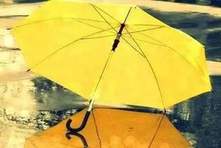 汽車(chē)雨傘溫度多少合適