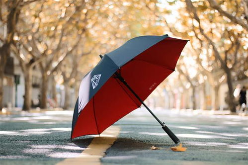 汽車(chē)雨傘溫度多少合適