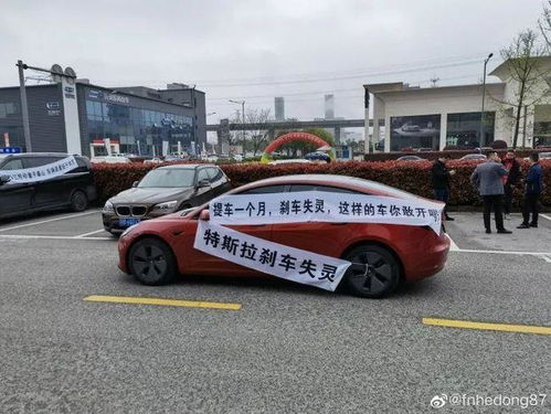 汽車能拉多少煙草