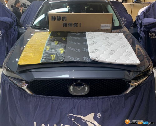 汽車共振有多少種