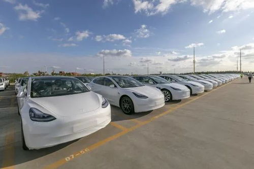 汽車拍攝收益多少正常