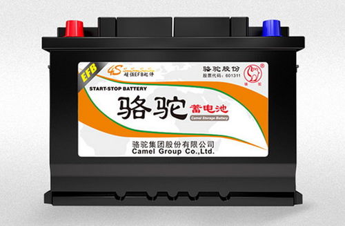 駱駝汽車電瓶排行多少