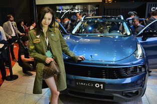 上海車展有人打架,？不實
