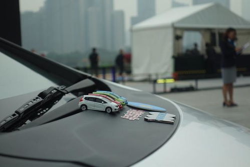 飛渡汽車共有多少燈