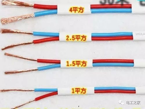 汽車主電纜多少平方