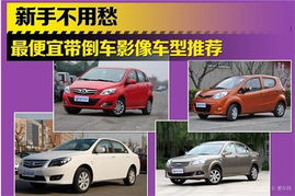 新手汽車推薦多少排量