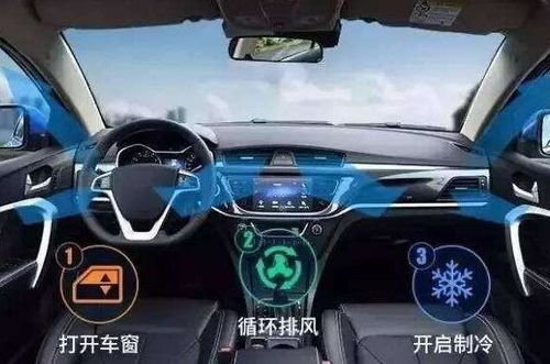 汽車后氧濃度多少