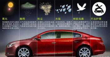 鶴鳴汽車油漆價格多少