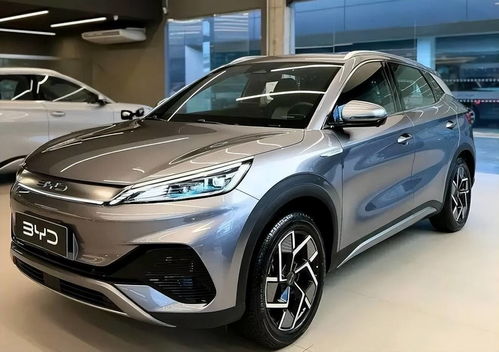 比亞迪汽車海外定價多少