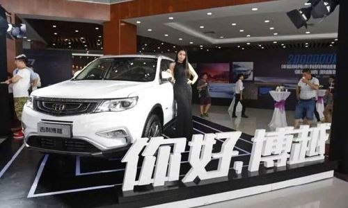 中國有多少汽車瘋子