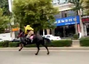 騎馬比汽車快多少