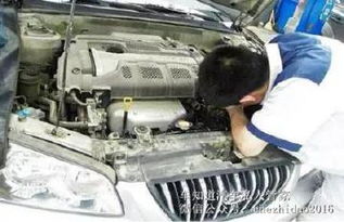 軍馬汽車水箱多少升