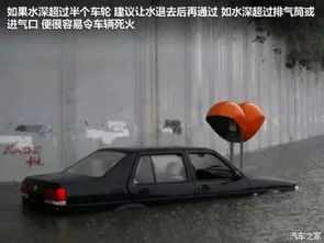 汽車水深多少厘米合適