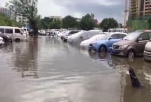 水浸汽車多少厘米