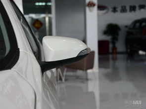 雷陵汽車后視鏡多少 雷陵汽車后視鏡多少