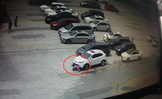 汽車轉(zhuǎn)彎后多少米