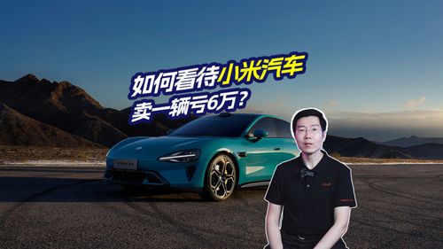 小米汽車儲(chǔ)存多少輛