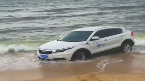 汽車開海里賠償多少
