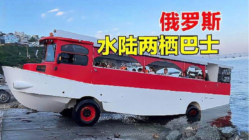 汽車開海里賠償多少