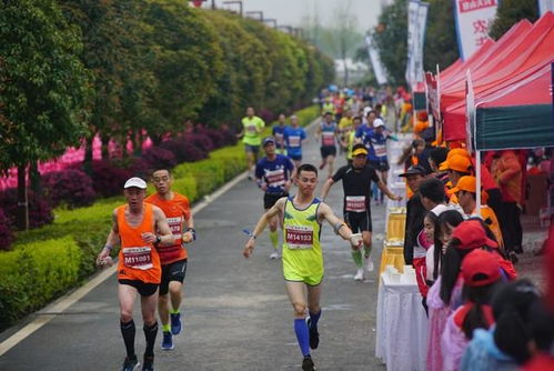 “方便門”毀了數(shù)萬跑者的盛大賽事