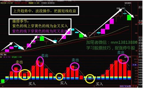 男子炒股11年賺6000萬：不建議模仿