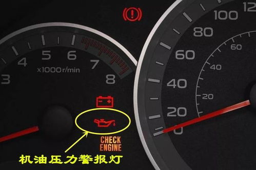 汽車總共多少種燈