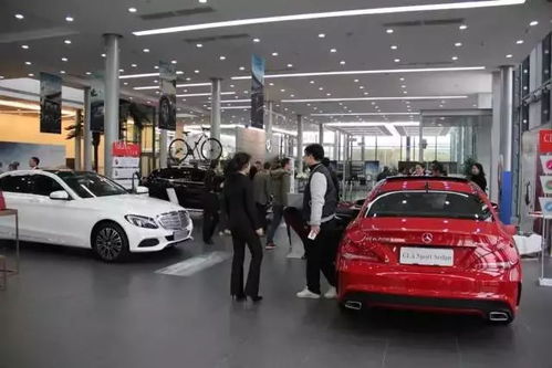 汽車最高權(quán)限是多少