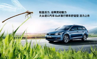 杜卡汽車多少錢