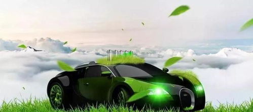 汽車能放多少菜