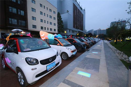 汽車擺攤前期投入多少