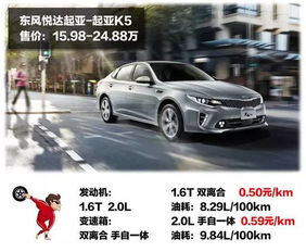 家用汽車有多少油