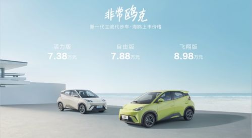 比亞迪海鷗汽車續(xù)航多少