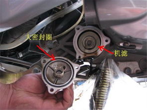 汽車袋多少公里換