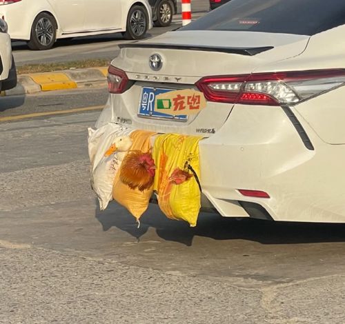 汽車都是多少斤