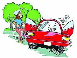 保養(yǎng)汽車錢要多少