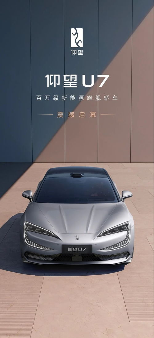 仰望汽車有多少款