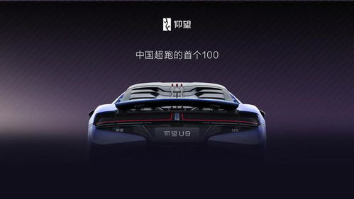 仰望汽車有多少款