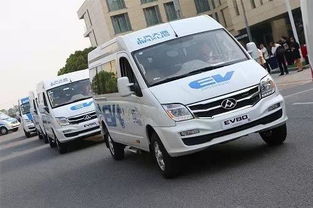 大通汽車多少伏電