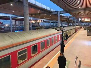 曹妃甸到唐山汽車多少