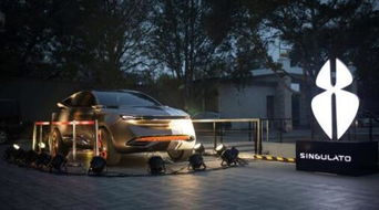 奇點汽車賣了多少輛